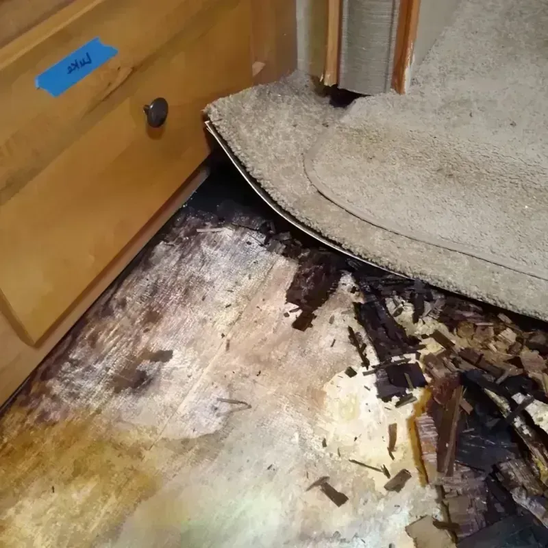 Wood Floor Water Damage in Newton, AL